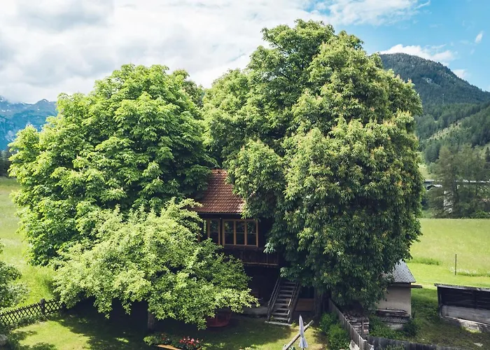 Schuetzenwirt 3* 슈타이나흐 암 브레너